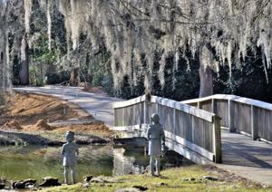 The City of Orangeburg is upgrading Edisto Memorial Gardens in an effort to improve park accessibility and enhance flower growth. ...