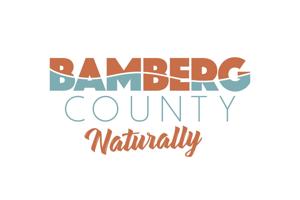 BAMBERG COUNTY COUNCIL: LSCOG says programs helping county
