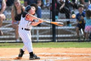SC Dixie Youth Baseball DI Rookie League State Tournament Saturday Scores ...