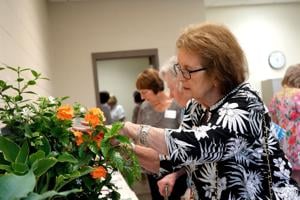 Home and Garden: Symposium to highlight container gardens, proper pruning